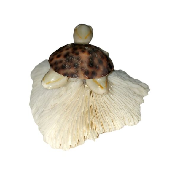 Vtg Seashell Turtle White Mushroom Coral Souviner Travel Beach Desination Kitch - Picture 4 of 5